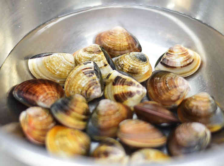 vongole-veraci-ricetta-spaghetti