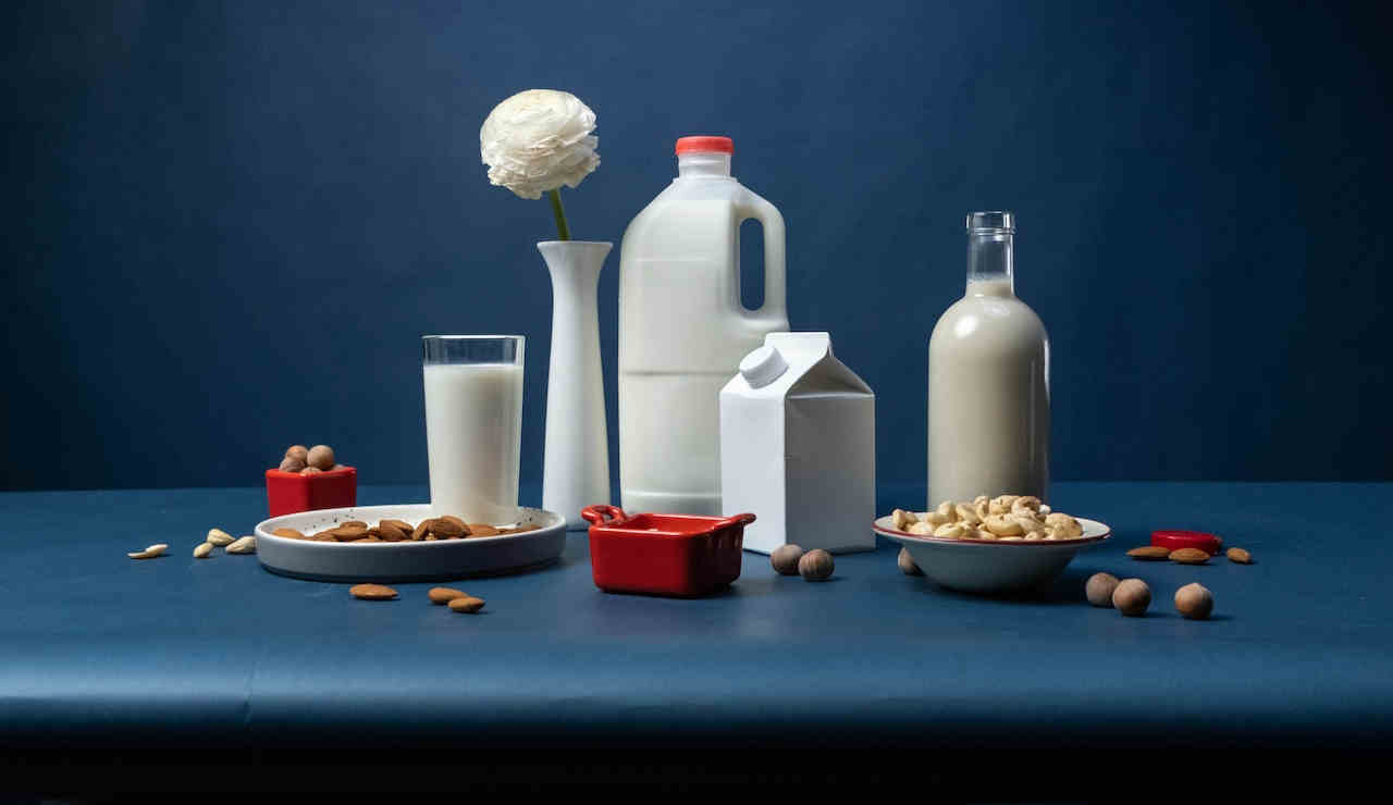 alimenti senza lattosio intolleranza latte