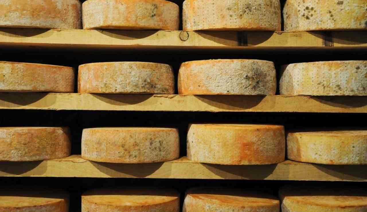 fontina ritirata