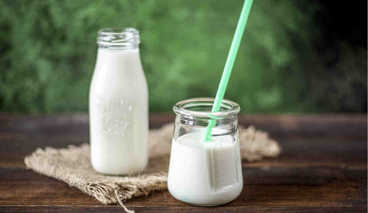 yogurt-latte-dieta-calorie