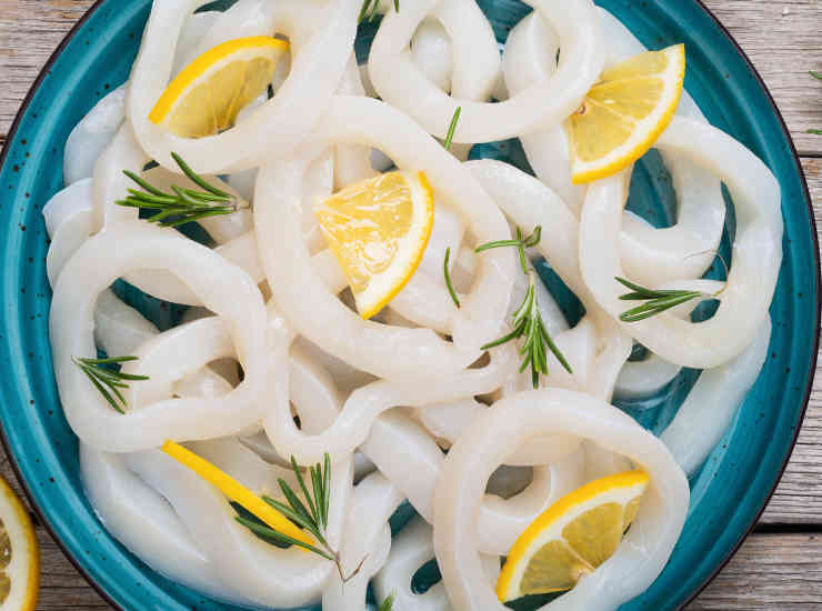 Calamari limone marinatura anellini