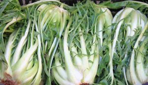 Mazzo di cicoria streetfoodnews.it