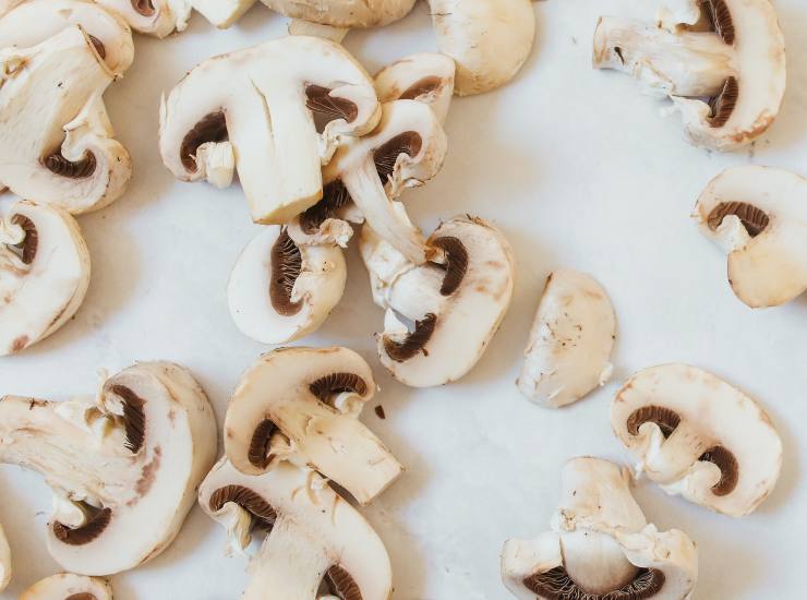 Funghi champignon pasta panna