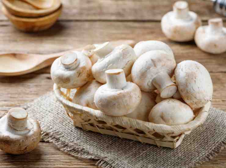 streetfoodnews.it mushrooms