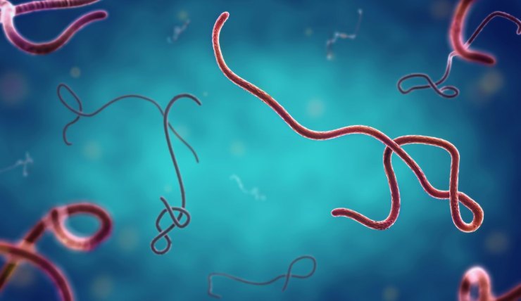 acqua di mare virus
