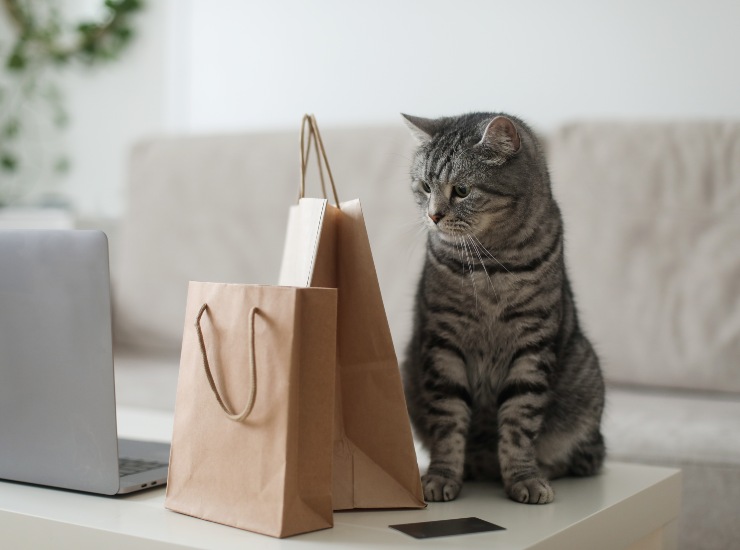 Delivery Food per animali domestici