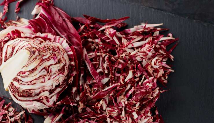 origini radicchio rosso