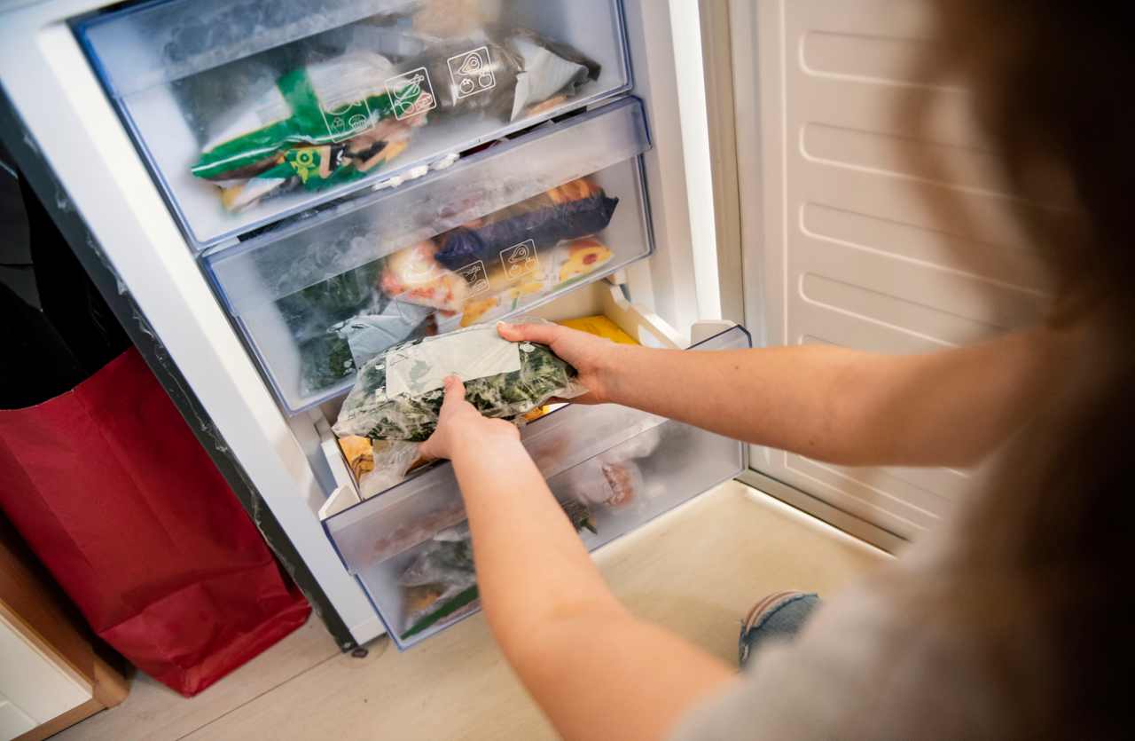 come usare il freezer