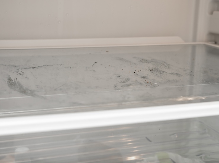 Muffa scaffale frigorifero sporco