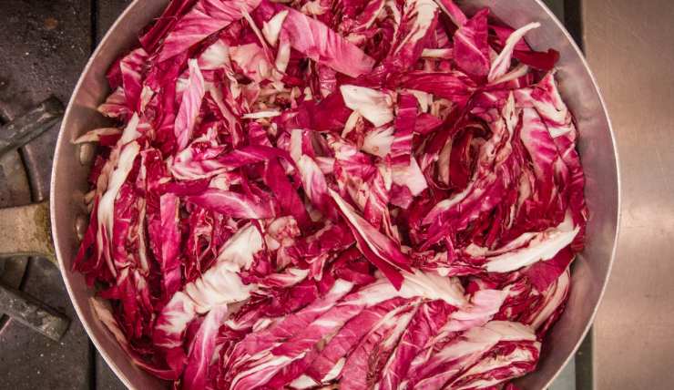 radicchio cottura