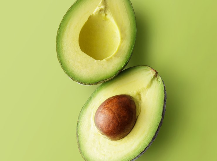 Avocado 