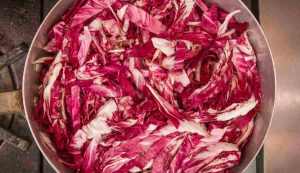 radicchio pericoloso