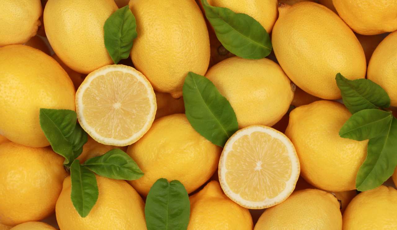 Limoni