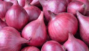 Cipolle