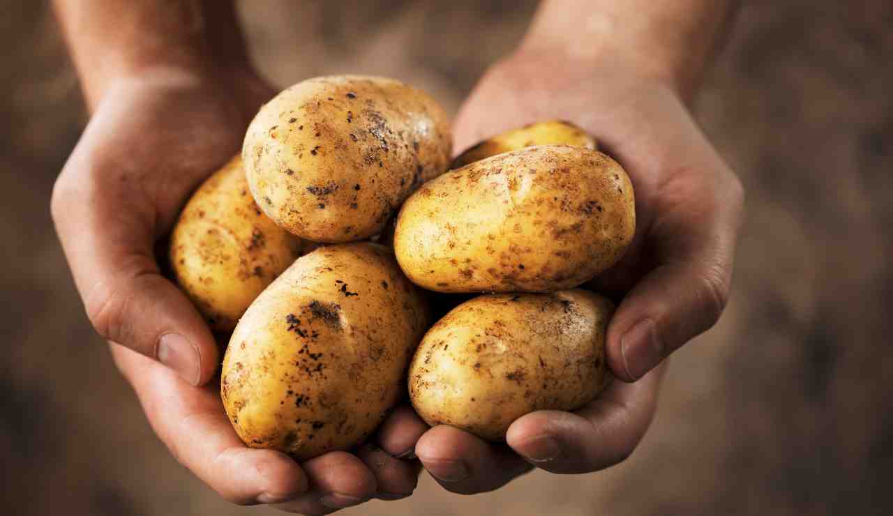 Patatas, si quieres que te duren meses, guárdalas con esta fruta: te desvelo el truco que usan los chefs