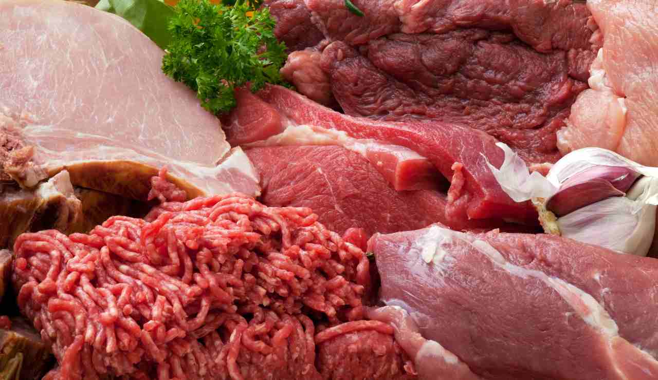 alimentazione carne cruda bovino suino