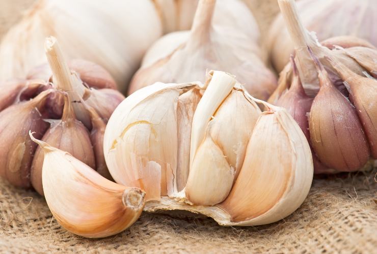 La verità sull'odore dell'aglio