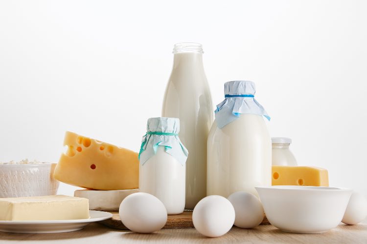 Vários produtos lácteos 