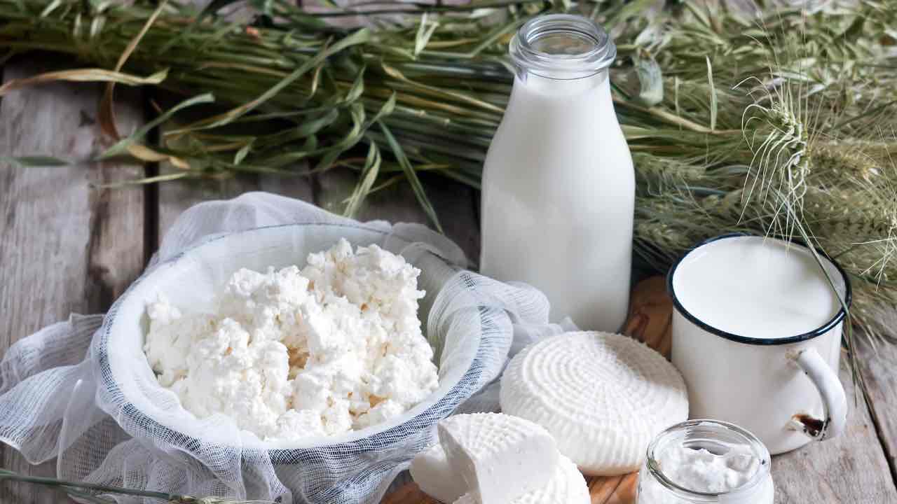 Leite e produtos lácteos não são bons para os ossos: se você comer muito, corre sério risco