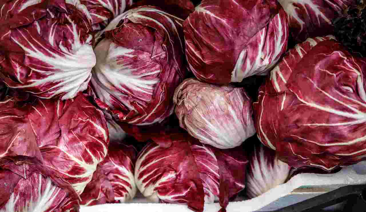 Radicchio rosso 