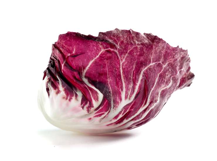 Radicchio rosso cuore