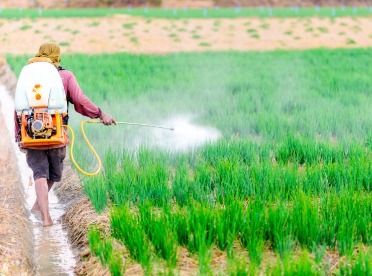Il legame pesticidi e Parkinson