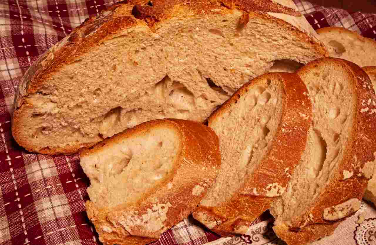 pane di altamura ricetta