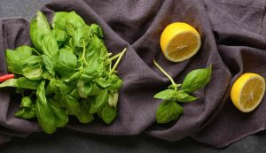 Basilico e limone