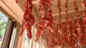 Peperoni cruschi, che bontà (depositphotos) - streetfoodnews.it