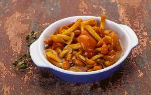 Funghi in salamoia in pericolo