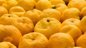 Yuzu (depositphotos) - streetfoodnews.it