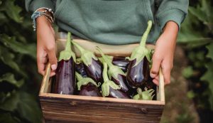 Melanzane - foto pexels - streetfoodnews.it