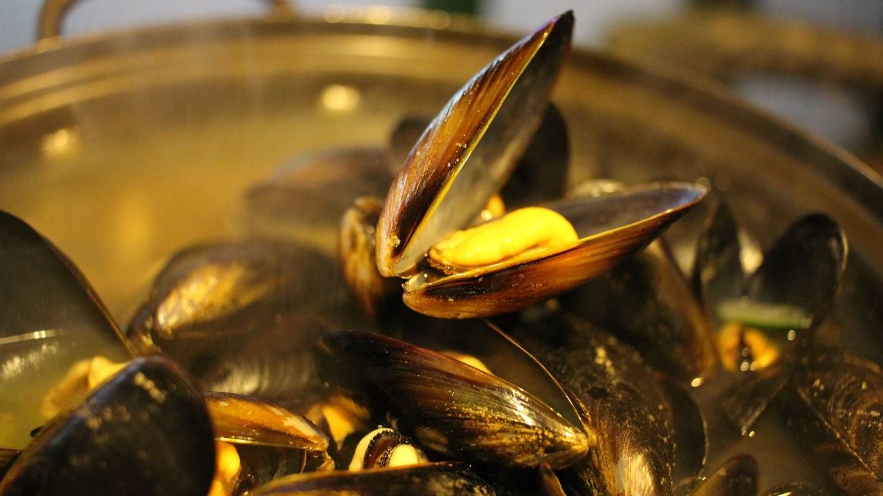 Cozze, come pulirle in cinque minuti - streetfoodnews.it - 20250806